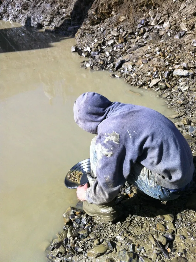 Panning for gold in a muddy Alaska mining pool